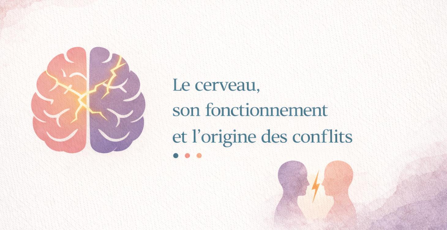 Le cerveau, son fonctionnement, conflits-critiques