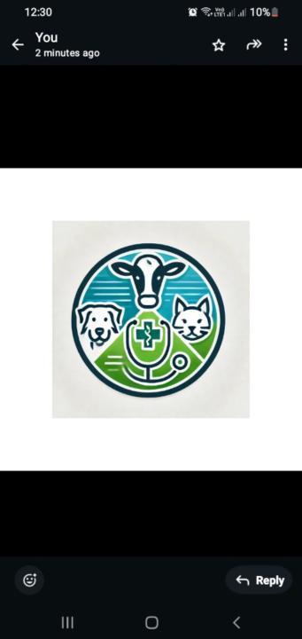 Amr Ahmed El Desouky