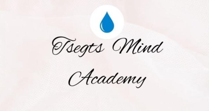 Tsegts Mind Academy