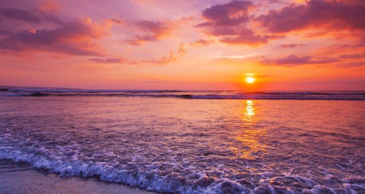 Alchemy Honey Collective