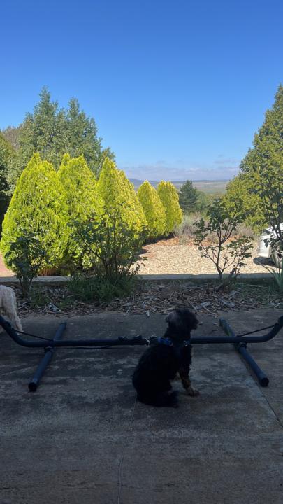 Welcome! I know you have an amazing story to share