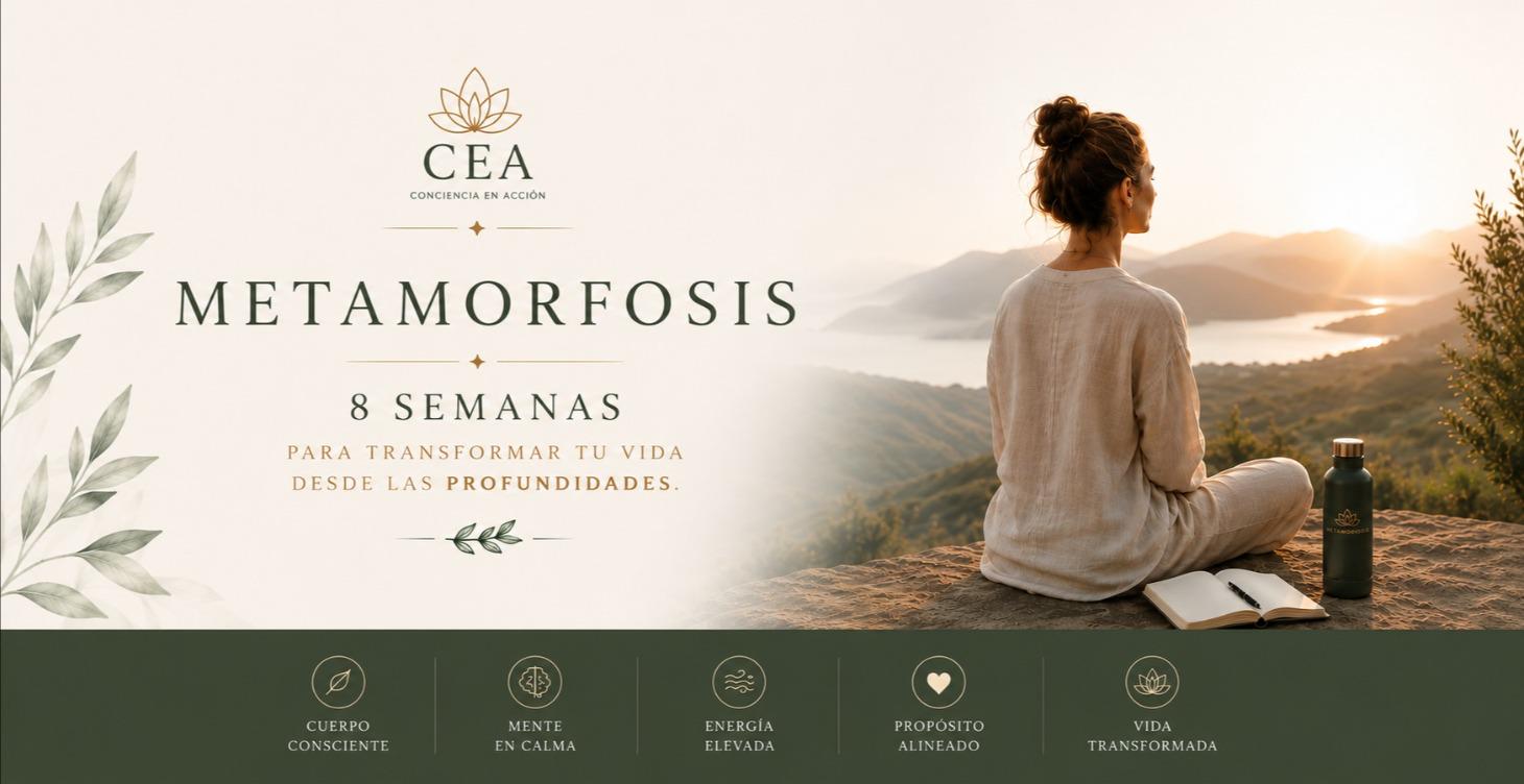 Metamorfosis- Mentoría Grupal de 8 semanas