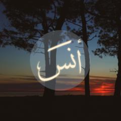 Muhammad Anash Islam mullick