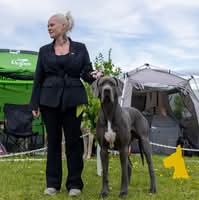 Malin Sæther Brakstad