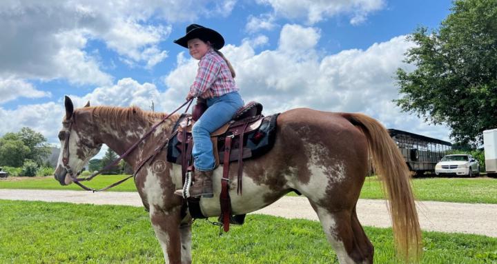 Horse Education & Lessons
