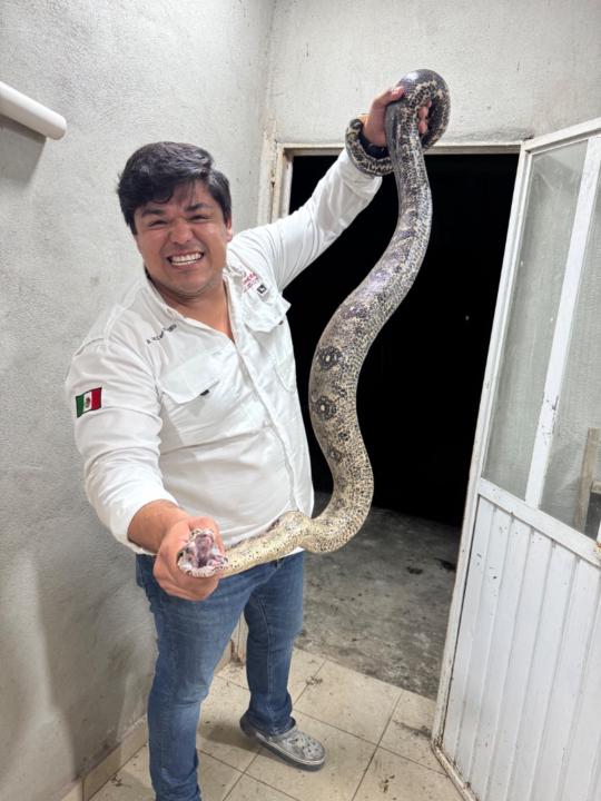 Carlos Mario Rosaldo Almeida