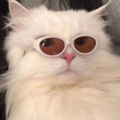 Wen Su