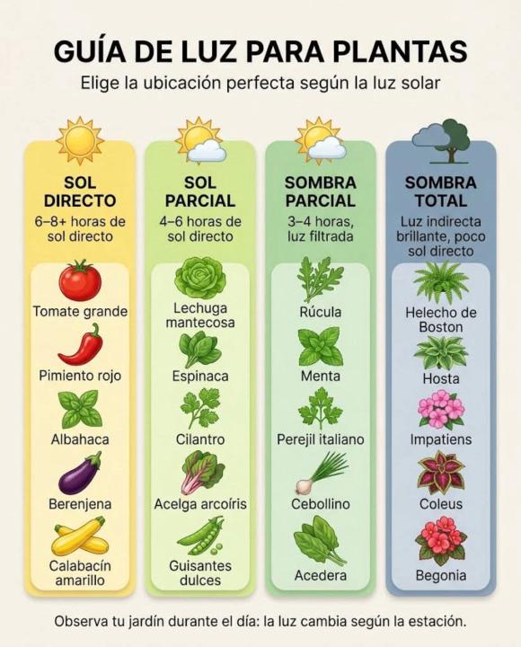 Datos brontopedicos 