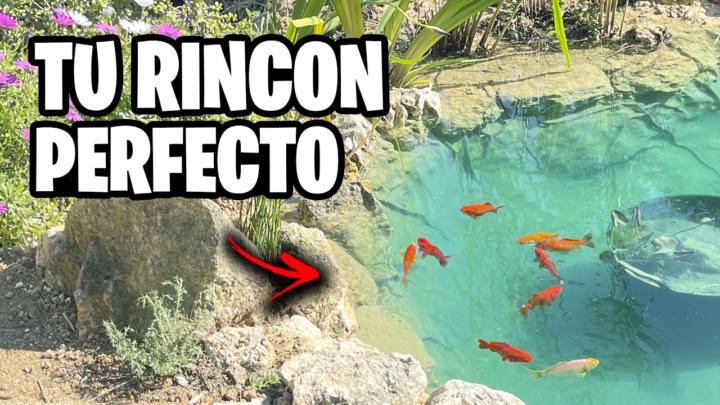 💦 ¡Cómo Hacer el ESTANQUE o BIOLAGO PERFECTO! 🐟