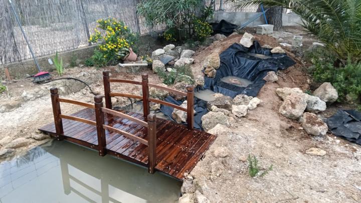 El nuevo estanque.. 🐠