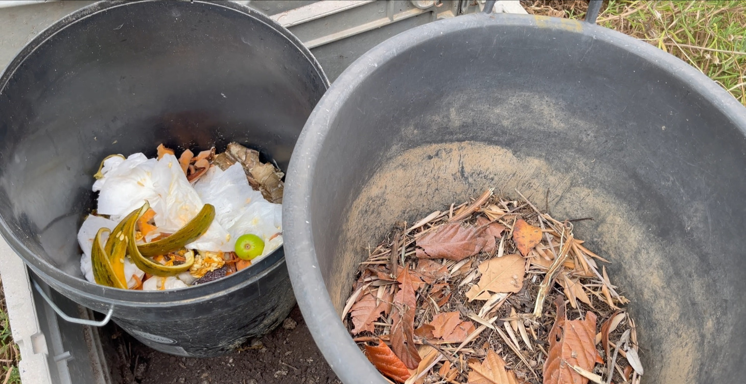 Curso de Compostaje Casero 💩