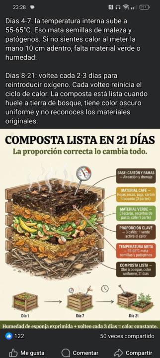 Datos brontopedicos 