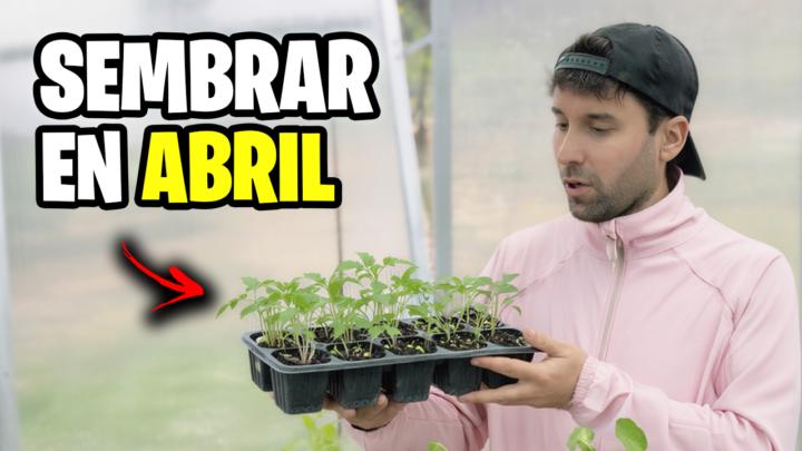 Que Sembrar en Abril + Tareas del Huerto 📅