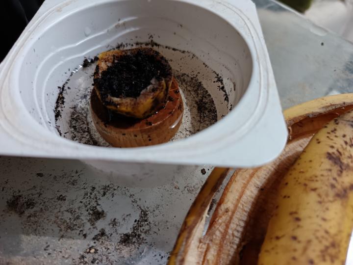Enraízar un plátano 🍌