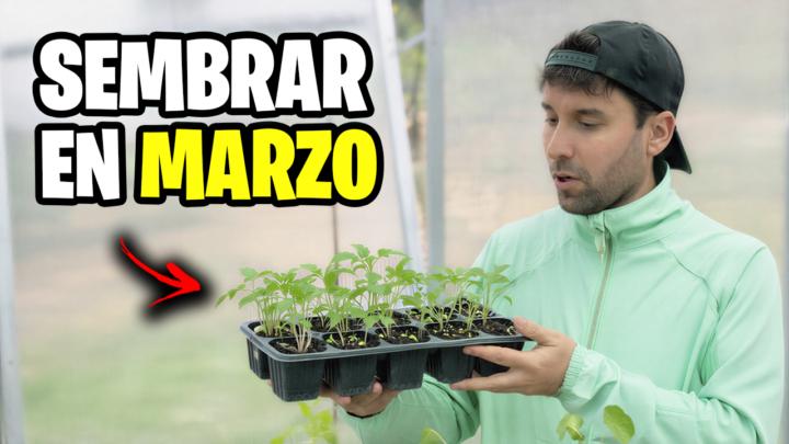 Que Sembrar en Marzo + Tareas del Huerto 📅