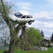 donaldProperty Wilson