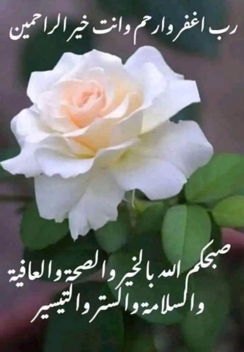 غيداء محمد
