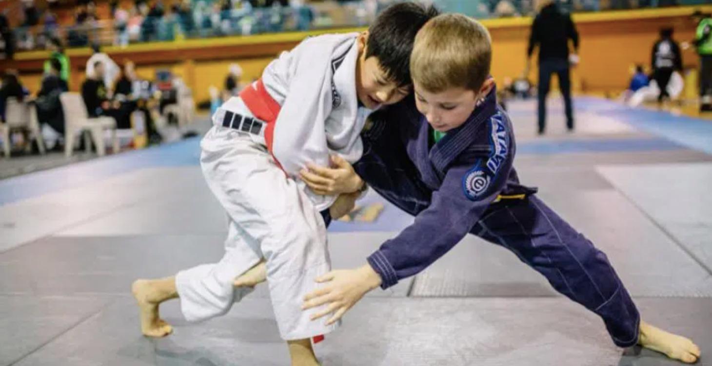 Children Basic BJJ Curriculum