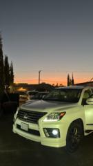 غالي الجحدلي