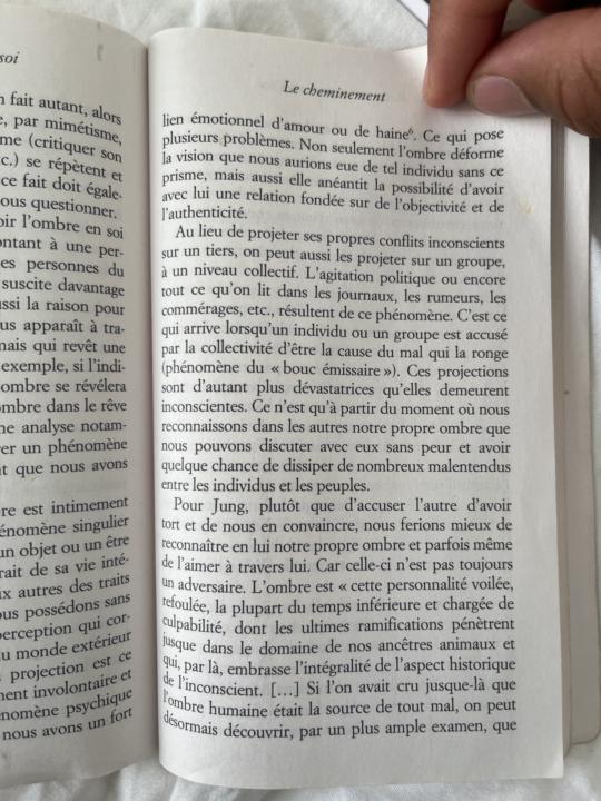 La projection de l’ombre 