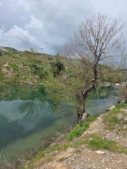 Şeydanur Aslan