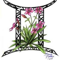 Gail Radke