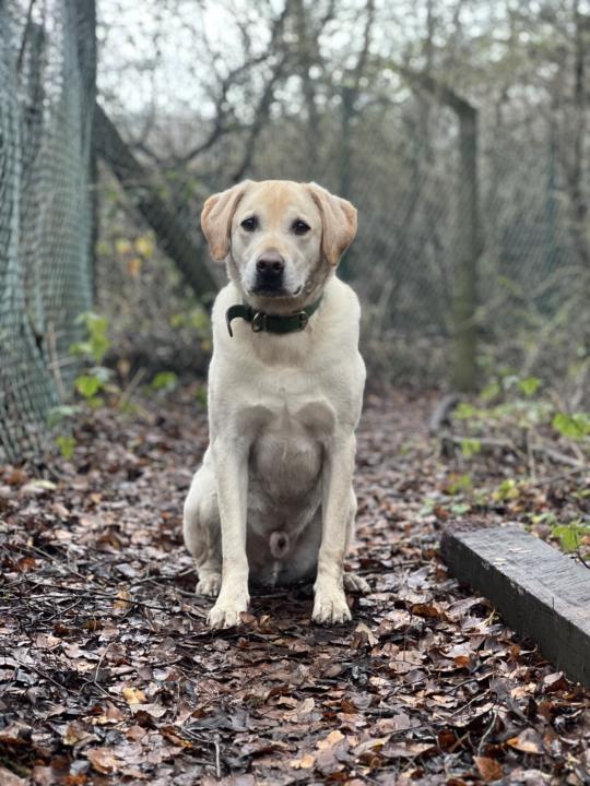  Welcome to those who are serious about doing things properly