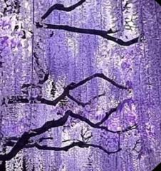 Wisteria Smile