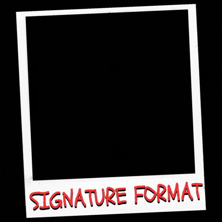Your Signature Format ™️