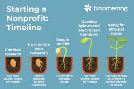 SETTING UP YOUR NON PROFIT PROFESSIONALLY