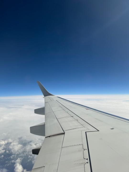 Vanessa Walf-Vorderwuelbecke