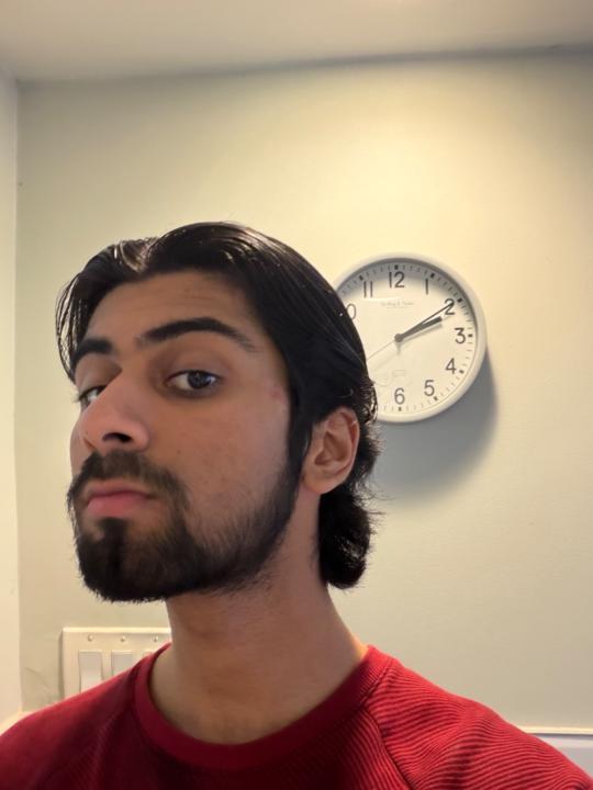 Talha Malik