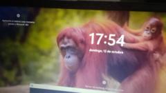 René Pérez Domínguez