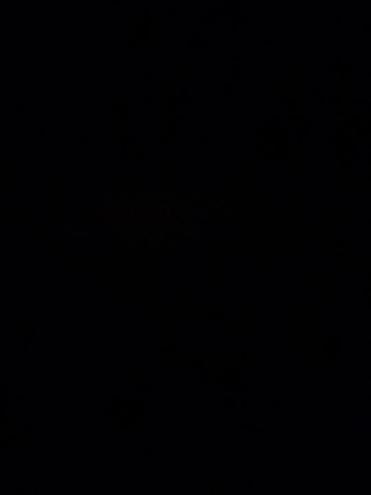 Michael-Jan Del Gaudio