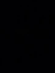 Michael-Jan Del Gaudio