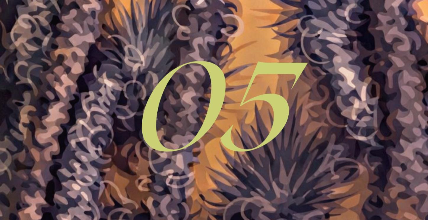 COMMON BEGINNER MISTAKES