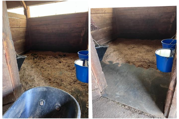 Stall Cleaning