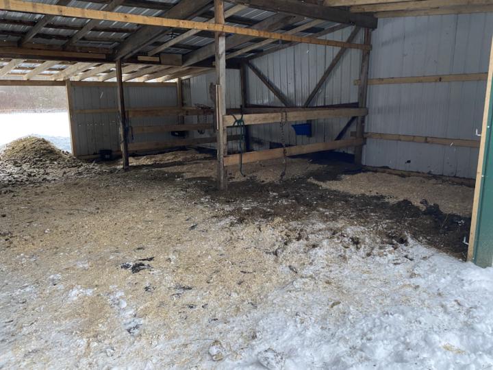 Clean Barn - Clean Mind