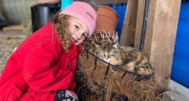 Ross Ranch: Farm Care