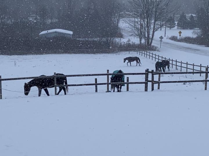 Winter 