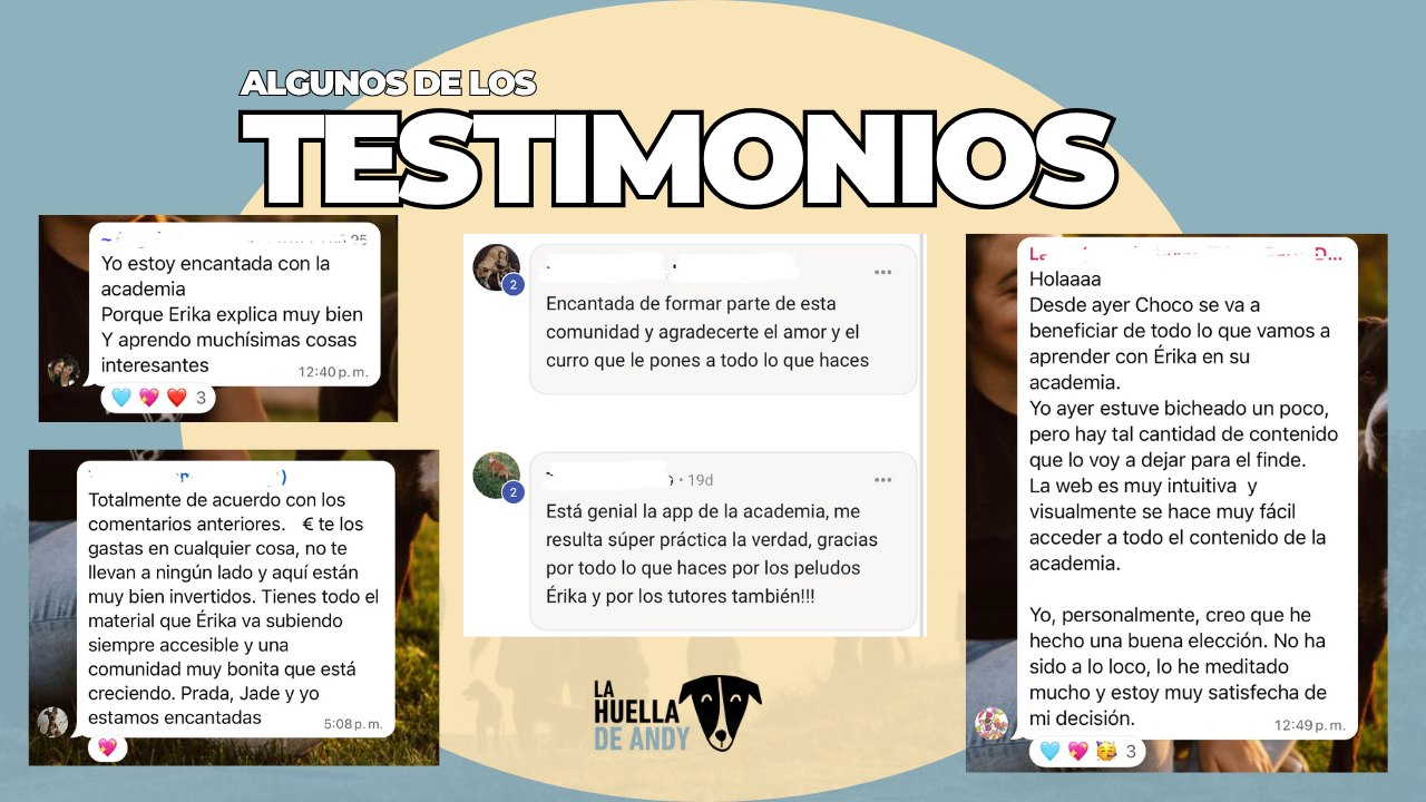 Academia canina LahuelladeAndy
