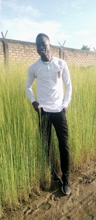 Rakis ngombaye Djimotongue