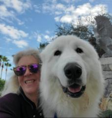 Lorrie Geyer-Limitone