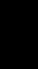 Le Vo