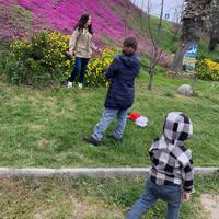 Luis Armando González L.