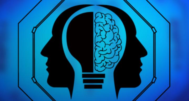 The Octagon Mind