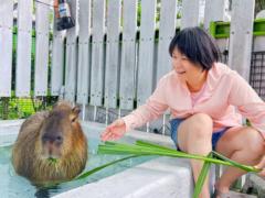 張 妧沅