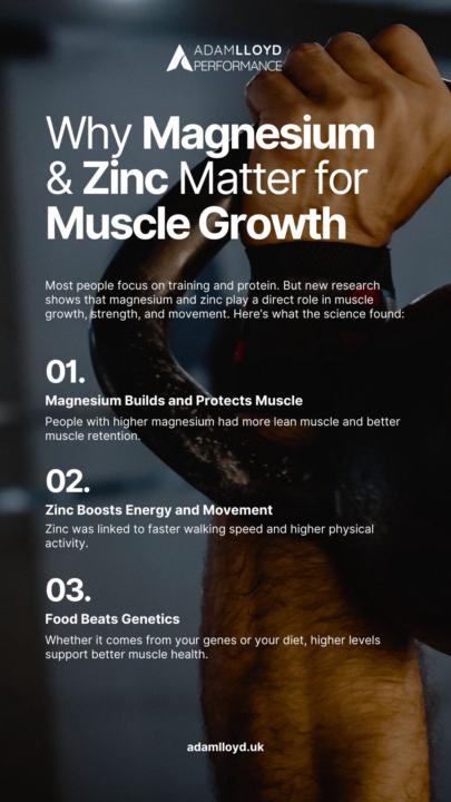 NEW SCIENCE REVEALS: The Shocking Truth About Magnesium, Zinc, and Muscle Growth