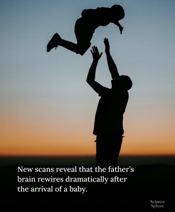 Being a Dad Changed Your Brain