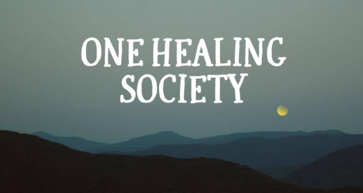 One Healing Society